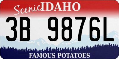 ID license plate 3B9876L