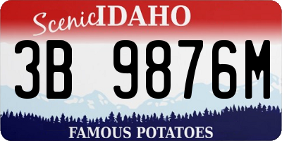 ID license plate 3B9876M