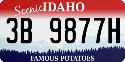 ID license plate 3B9877H