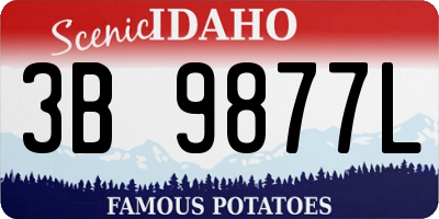 ID license plate 3B9877L
