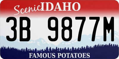 ID license plate 3B9877M