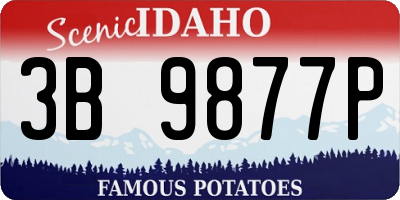ID license plate 3B9877P