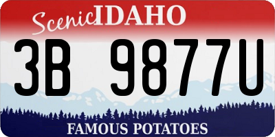 ID license plate 3B9877U