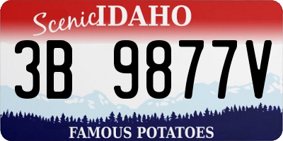 ID license plate 3B9877V