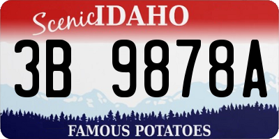 ID license plate 3B9878A