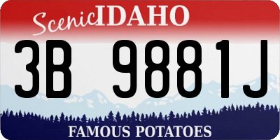 ID license plate 3B9881J