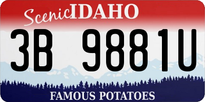 ID license plate 3B9881U