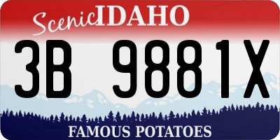 ID license plate 3B9881X