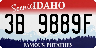 ID license plate 3B9889F