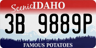ID license plate 3B9889P
