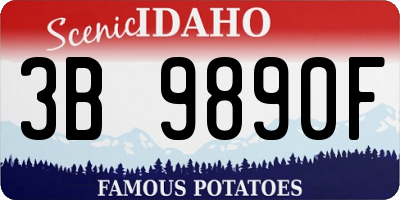 ID license plate 3B9890F