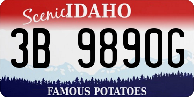 ID license plate 3B9890G