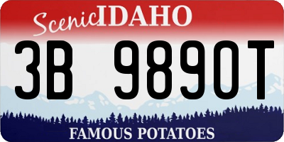 ID license plate 3B9890T