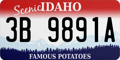ID license plate 3B9891A