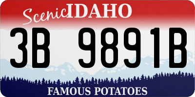 ID license plate 3B9891B