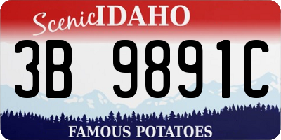 ID license plate 3B9891C
