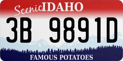 ID license plate 3B9891D