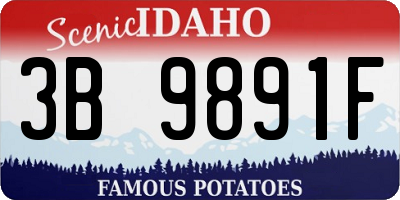 ID license plate 3B9891F