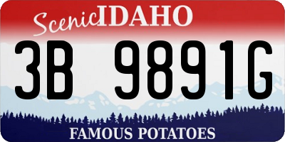 ID license plate 3B9891G