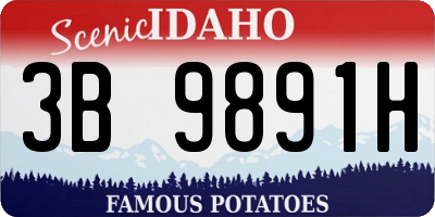 ID license plate 3B9891H