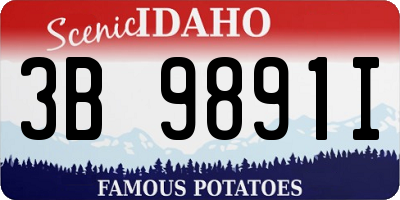 ID license plate 3B9891I