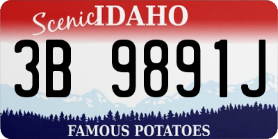 ID license plate 3B9891J