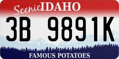 ID license plate 3B9891K