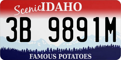 ID license plate 3B9891M