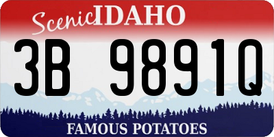 ID license plate 3B9891Q