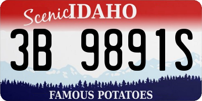 ID license plate 3B9891S