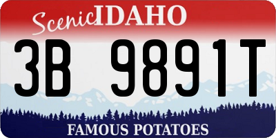 ID license plate 3B9891T