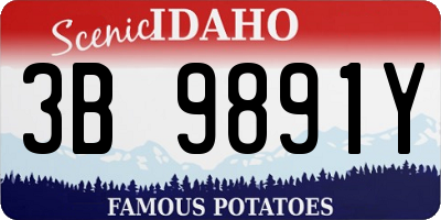 ID license plate 3B9891Y