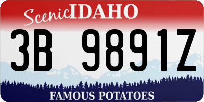 ID license plate 3B9891Z