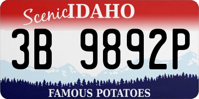ID license plate 3B9892P