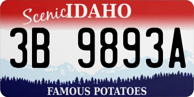 ID license plate 3B9893A