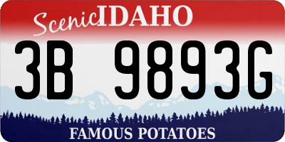 ID license plate 3B9893G