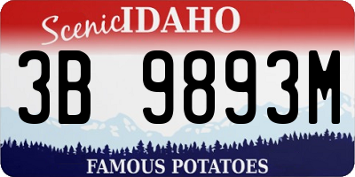 ID license plate 3B9893M