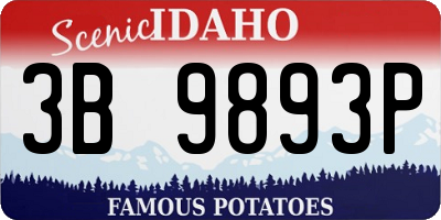 ID license plate 3B9893P
