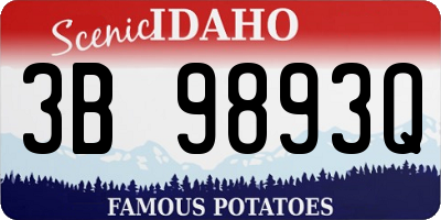 ID license plate 3B9893Q