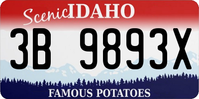 ID license plate 3B9893X