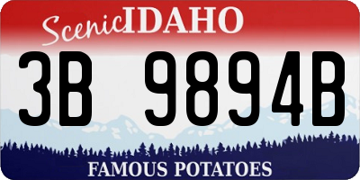 ID license plate 3B9894B