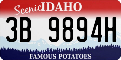 ID license plate 3B9894H