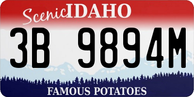 ID license plate 3B9894M