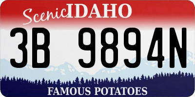 ID license plate 3B9894N