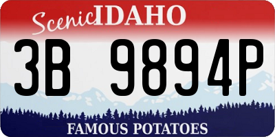 ID license plate 3B9894P