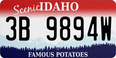ID license plate 3B9894W