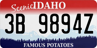 ID license plate 3B9894Z