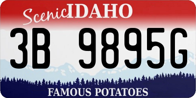 ID license plate 3B9895G