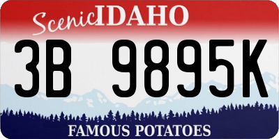 ID license plate 3B9895K