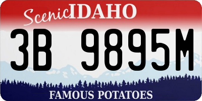 ID license plate 3B9895M